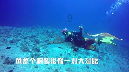 蒋诗萌放弃中国籍入英!三次春晚成名后移民,网友直呼失望!